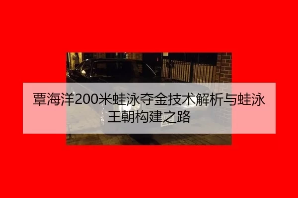 tan-hai-yang-mi-wa-yong-duo-jin-ji-shu-jie-xi-yu-wa-yong-wang-chao-gou-jian-zhi-lu-3-257.jpg